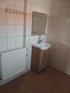 a bathroom with a sink and a mirror and a tub at NADENKA & MGR Vendégház in Alsótelekes
