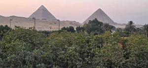 Příroda nedaleko rezortu