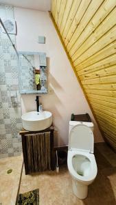 un baño con inodoro y lavabo en Old farm 1, en Ijevan