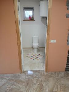 a bathroom with a toilet in a room at Sauleskrasti 
