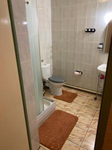 a bathroom with a toilet and a sink at Gite Deja Vu in Montcabrier +11 photos