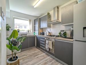 une cuisine avec des placards gris et une plante en pot dans l'établissement Large 3-bedrooms House Near Centre Free Parking, à Liverpool