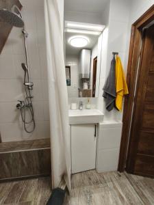 een badkamer met een douche en een wastafel en een douche bij Velencei Odú in Velence