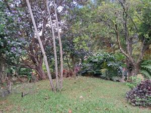 Fotografie z fotogalerie ubytování SERENITY BY NATURE v destinaci Carrillos