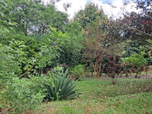 Fotografie z fotogalerie ubytování SERENITY BY NATURE v destinaci Carrillos