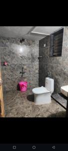 Chaloba Hills Agro Resort في Ajra: حمام به مرحاض ودلو وردي