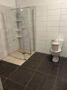 a bathroom with a shower and a toilet at Appartement cosy in Montier-en-Der