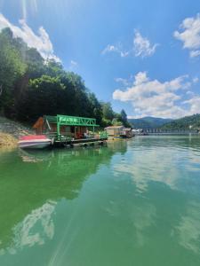 a large body of water with a boat in it at Casuta Verde Bicaz in Bicaz +40 photos