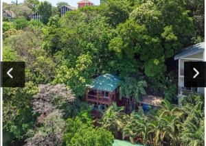 een luchtfoto van een huis in de bomen bij West Bay Unique Home with an amazing oceanview in West Bay +37 foto's