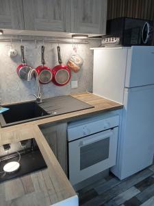 - une cuisine avec un évier, des casseroles et des poêles au mur dans l'établissement Studio Fontaine, à Niort