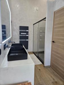 a bathroom with a sink and a glass shower at La suite Cherbourgeoise in Cherbourg en Cotentin