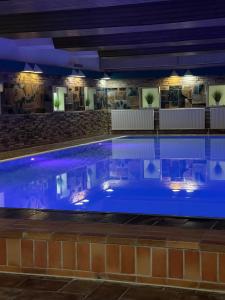 a swimming pool at night with blue lighting at Schöne Aussicht - charmante Ferienwohnung mit Pool und Sauna in Bad Harzburg in Bad Harzburg