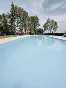 a large blue swimming pool with trees in the background at Apart hotel Amter in Fray Bentos