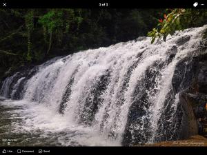 a waterfall in the middle of a river at Malanda Falls Retreat in Malanda