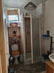 ein Badezimmer mit Toilette und Dusche in der Unterkunft Soso et Pat in Fourchambault