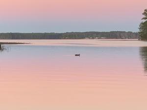 Příroda nedaleko prázdninového domu