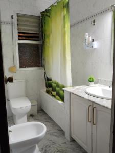 a bathroom with a toilet and a sink and a shower at El apartamento de Isa tercero sin ascensor in Alcalá de Guadaira
