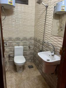 アスワンにあるAswan House centerのトイレと洗面台のあるバスルーム