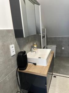 un bagno con un lavandino bianco e uno specchio di Ferienwohnung Steinberg a Dietzenbach Altre 3 foto