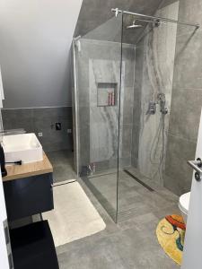 un bagno con doccia e lavandino di Ferienwohnung Steinberg a Dietzenbach