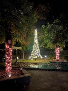 Zahrada ubytování Vakantiehuisje Ommen + 1 fotografie