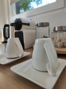 Dos platos blancos sobre la encimera de la cocina. en Döbrönte MagLak, en Döbrönte