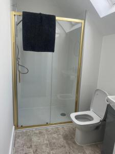 a bathroom with a shower and a toilet at Oak Field View - Self Contained Studio in Scotby
