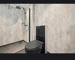 a bathroom with a toilet and a shower at Apartment in central Kirkenes in Kirkenes