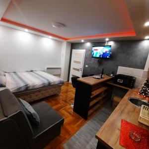 Μια τηλεόραση ή/και κέντρο ψυχαγωγίας στο Pale LUKIJAN apartman