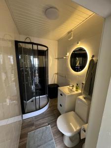 a bathroom with a toilet and a shower and a sink at Villa Linnea in Hanko