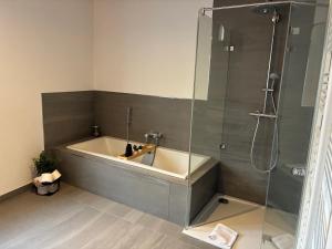 a bath tub with a glass shower in a bathroom at FeWo - LOFT Mosel & Weinquartier, Balkon, Parkplatz, moderne Küche, bis 8 Personen in Piesport