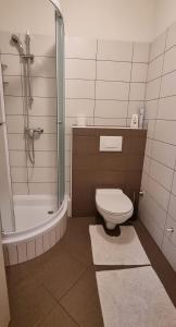 ein Badezimmer mit einer Dusche, einem WC und einer Badewanne in der Unterkunft Villa Rapkinja in Mundanije + 10 Fotos