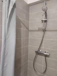 Ένα μπάνιο στο Chambre dans penthouse avec terrasse Parc Expo, Orléans, Orly & CDG