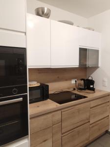 Η κουζίνα ή μικρή κουζίνα στο Chambre dans penthouse avec terrasse Parc Expo, Orléans, Orly & CDG