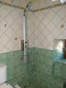 a shower in a bathroom with a toilet at Guesthouse Kleopatra's in Tsagarada