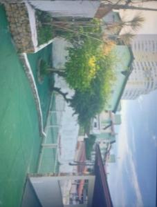 an overhead view of a building with a palm tree at Pousada Pedra da Caveira in Florianópolis