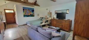 Μια τηλεόραση ή/και κέντρο ψυχαγωγίας στο Maisonnette 1 pièce à la campagne