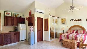 Afbeelding uit fotogalerij van Ocean Dream 1st See Line Studio in Cabarete