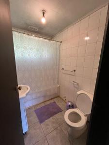 un baño con inodoro y lavabo en Casa en Panguipulli, en El Cerrillo