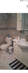 een badkamer met toilet en wastafel bij Villa Del Sol in Saginaw +4 foto's