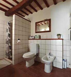 a bathroom with a toilet and a sink at Casa Ripa North in Cupramontana
