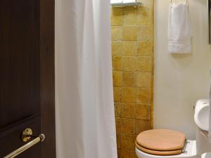 a bathroom with a toilet and a shower curtain at Mushroom Cottage in Castleton +6 photos