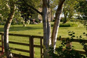 een hek voor een veld met bomen bij The Cottage in Etal