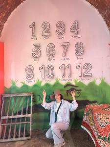 Hosté ubytování Eshyan Guest House