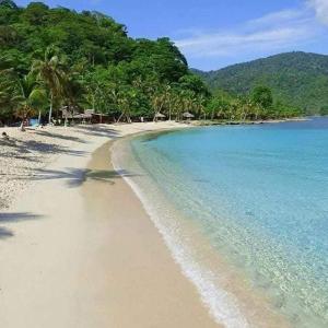 a beach with blue water and palm trees at Hostal el Profe in Capurganá +28 photos