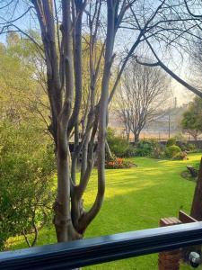 a view of a tree from a window at Entire Apartment in Eldoraigne, Centurion in Eldoraigne