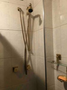 APART Deluxe Campos do Jordāo com lareira في كامبوس دو جورداو: دش مع رأس دش في الحمام +44 صورة