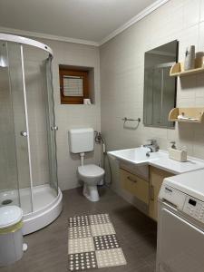 a bathroom with a shower and a toilet and a sink at Ice Queen Vlasic in Šišava +48 photos