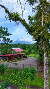 Příroda nedaleko apartmánu + 32 fotografií