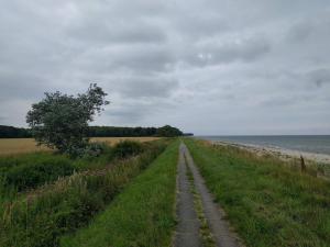 a dirt road next to the ocean on a cloudy day at 2 person holiday home in Otterup in Otterup